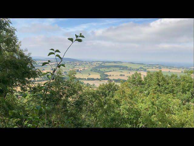 Welcome to Wenlock Edge, ​a walk from Much Wenlock to Major’s Leap and beyond