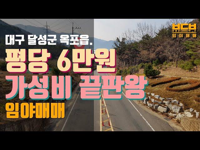 [임야매매 ep01] 대구임야 평당6만원 가성비 진짜 좋은 임야매매 / 2차선 도로접 / 접근성 매우 좋음 / 임야, 토지, / 달성군 옥포읍 반송리