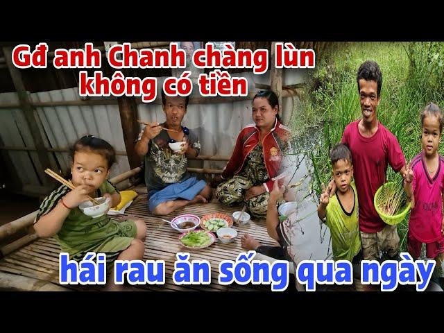 Anh Chanh lùn phải đi hái rau để có đồ ăn cho bữa cơm