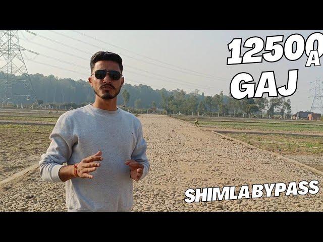 plot fOr sale in Shimla bypass 100 Gaj मात्र 12.5 लाख रुपए में सम्पर्क 6395244765 /7617457169 !