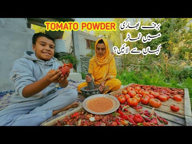 How to Make Tomato Powder | Dried Tomato Powder | Daily Lifestyle Vlog | Vlogs New Video