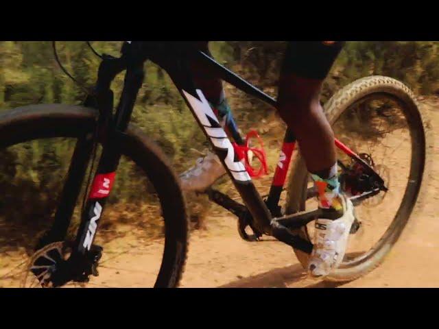 Zini Z29 Mountain bike