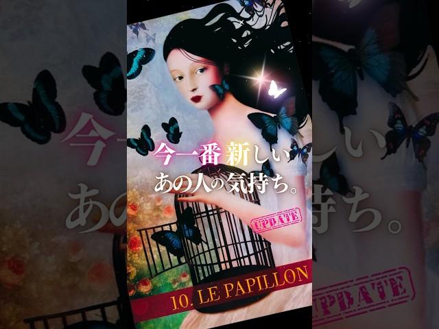 【タロット占い】あの人の気持ち、今すぐチェック。#アフアの秘密タロット #afuakitty #tarot #타로 #恋愛 #占い #teaser #shorts
