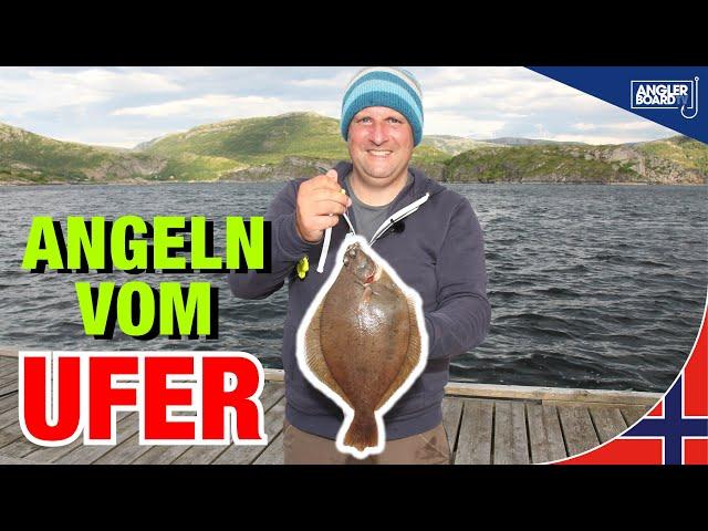 Uferangeln in Norwegen | Angeln vom Steg | Tipps für Plattfisch, Pollack & Wittling | Anglerboard TV