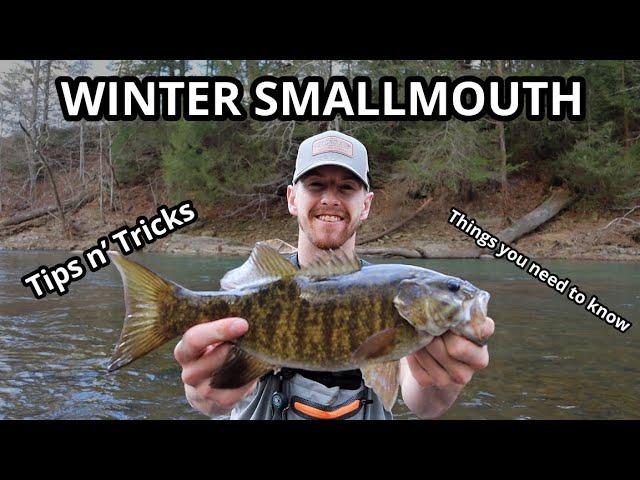 How to catch WINTER SMALLMOUTH wading creeks! (Tips and tricks)