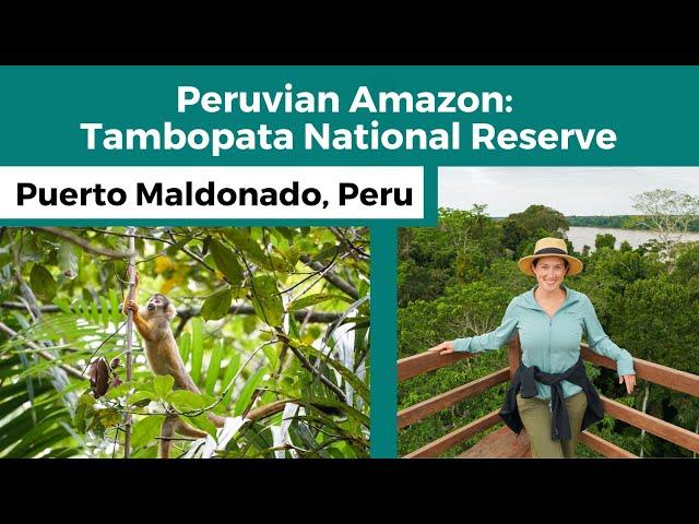 Peruvian Amazon Tambopata National Reserve | Puerto Maldonado, Peru | Inkaterra Reserva Amazonica