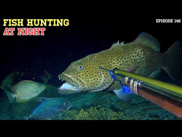 NIGHT SPEARFISHING EPISODE 146 | FISH HUNTING AT NIGHT