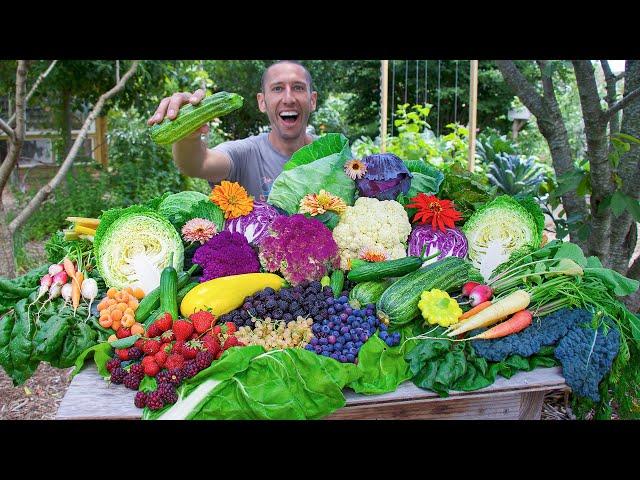 Astonishing Backyard Garden Harvest, Suburban Permaculture Food Forest