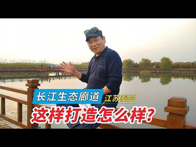 实拍江苏泰兴长江生态廊道，800米亲水平台，你觉得怎么样？