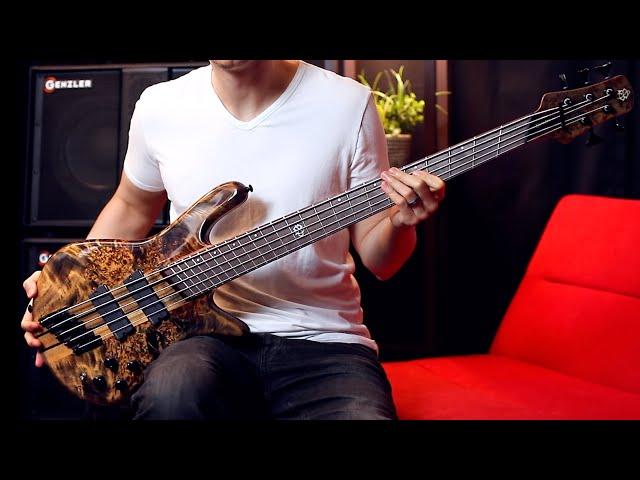 Spector NS Dimension MULTI-SCALE BASS // Demo by Nate Navarro