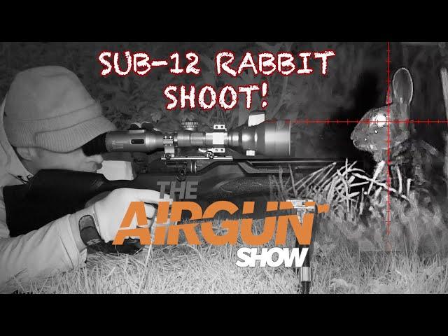 The Airgun Show | Day and night rabbit hunting | Daystate Wolverine air rifle review