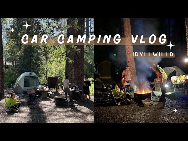 car camping 人生当中第一次睡在车里面的露营 camping Vlog