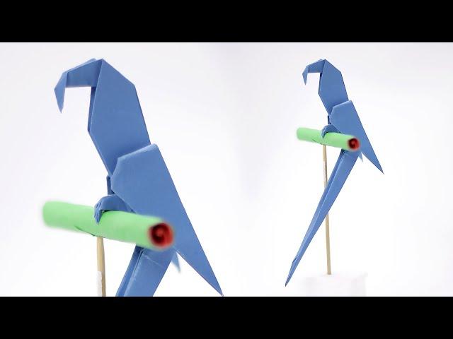 Origami Macaw Parrot - How to fold