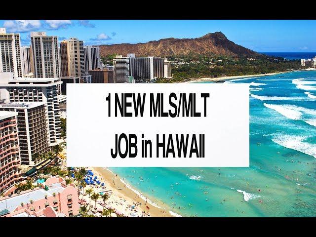 1 NEW MLS, MLT Hawaii Travel Job