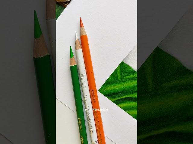 Independence Day Art ️ #vandematram #tricolor #colourepencil #viral #trendingonshorts #drawing