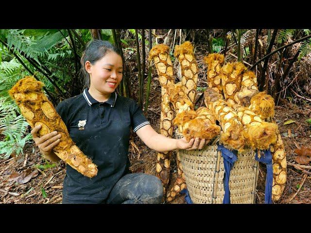 FULL VIDEO: 210 Days Harvest Cardamom, Fruit, Papaya, Figs, Snail Go Market sell - Building a Farm