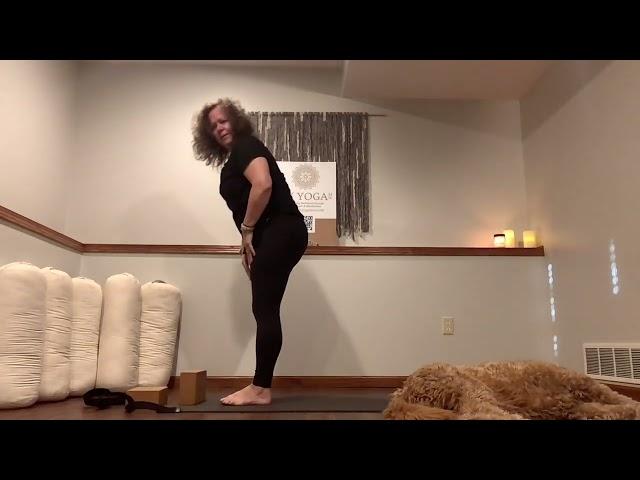 Sun Salutation Vinyasa Flow with PK Yoga MN