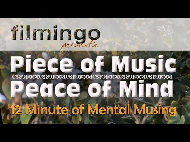 12 Minute of Mental Musing