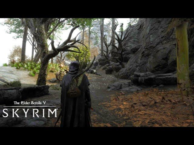 The Best Way To Play Skyrim In 2024 !!! NOLVUS Gameplay Walkthrough Part 4