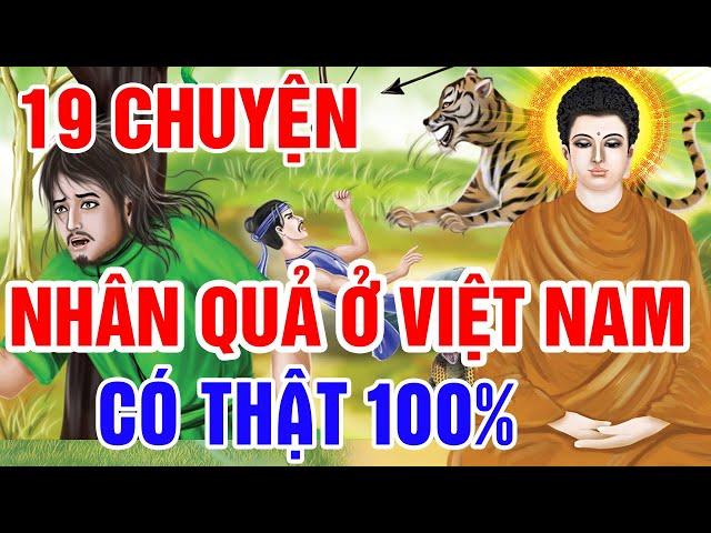 19 Chuyện Nhân Quả Phật Giáo , Gieo Nhân Gặt Quả - Luân Hồi Báo Oán Hay Nhất | Kể Chuyện Đêm Khuya