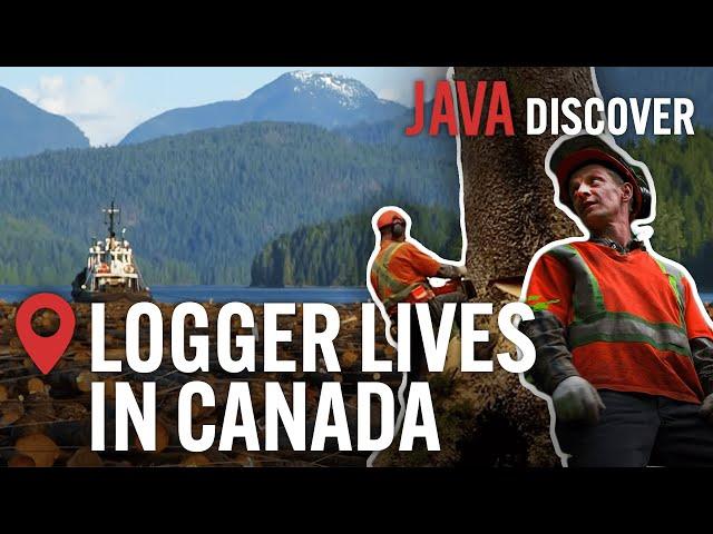 The Real Lives of Loggers in Canada: From Forest to Factory | Canadian Lumberjack Documentary