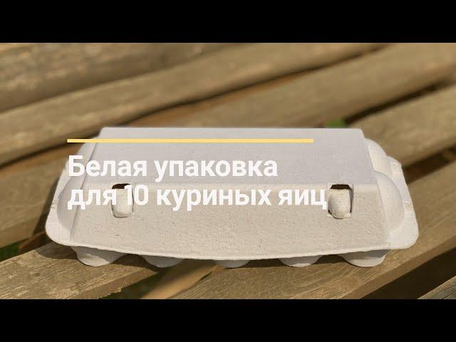 Белая упаковка для 10 куриных яиц  | SHKOLHOZ.RU