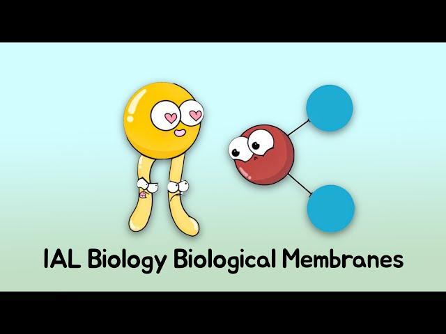 IAL Biology Unit 1 Biological Membranes