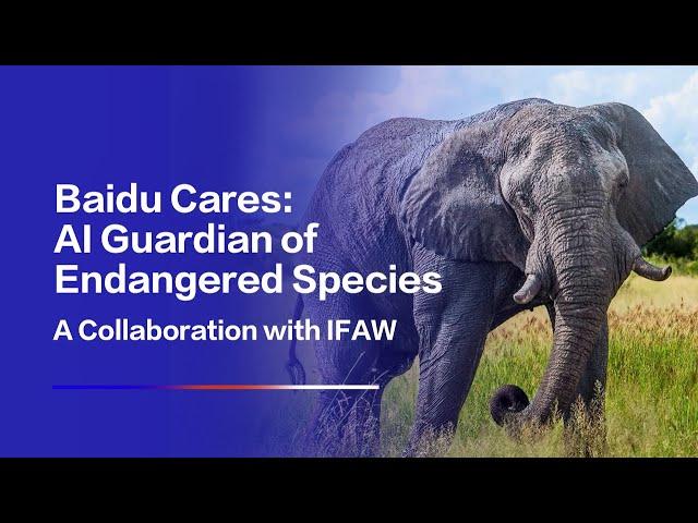 Baidu Cares: AI Guardian of Endangered Species | A Collaboration with IFAW