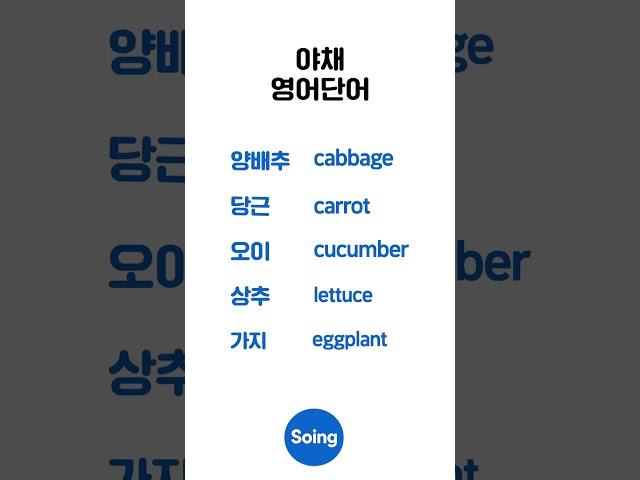 하루 5개 야채 영어｜일상필수영어 #영어단어 #영어공부