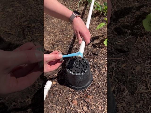 Building a DIY irrigation system out of PVC pipes for under $50! #garden #diy #gardening #irrigation