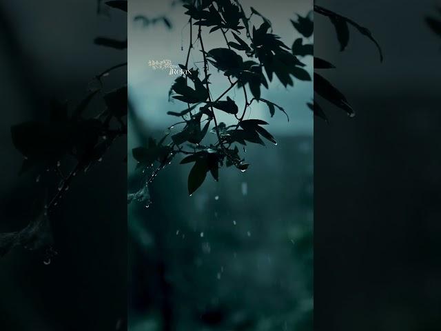 Soothing Sleep Time |  Relaxation & Sweet Dreams اسراحت و  الهام بخش #relax #meditationmusic