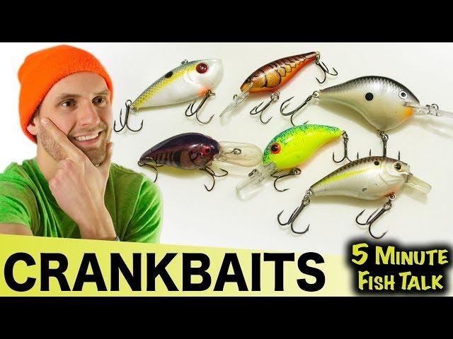 How To Fish Crankbaits (For Beginners)