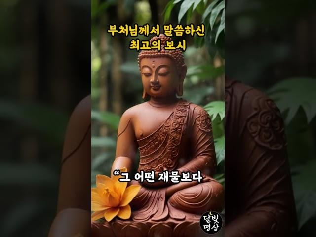 부처님께서 말씀하신 최고의 보시ㅣ자면서 듣는 부처님 말씀 I 인간관계 I 오디오북 I 삶의 지혜