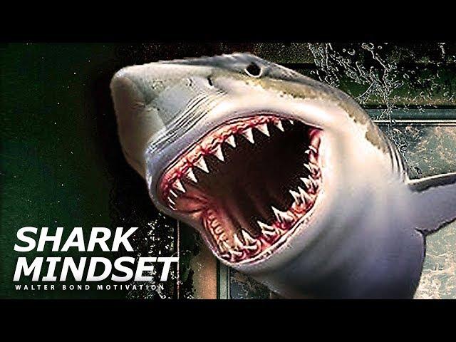 SHARK MINDSET | One of the Best Speeches Ever by Walter Bond