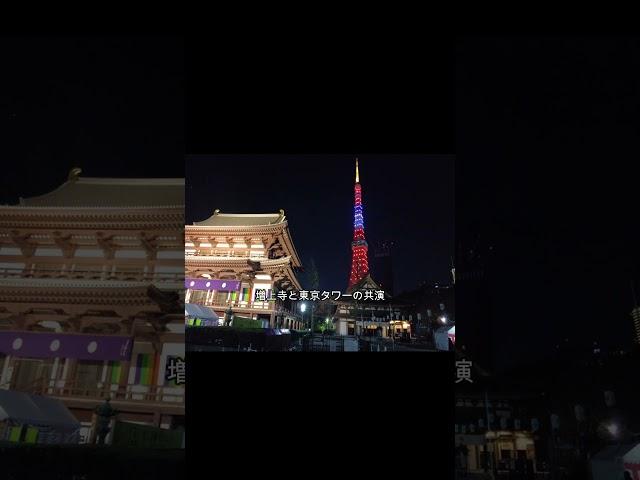 【ライトアップ】増上寺と東京タワーの共演