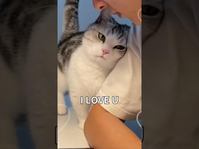 How Cats Say I LOVE U  #facts