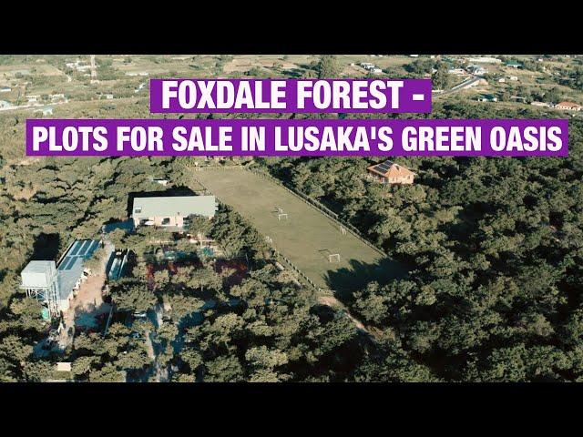 Foxdale Forest - Plots for sale in Lusaka's green oasis