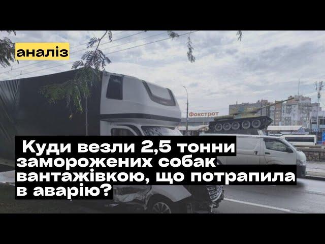 Аварія з вантажівкою в Миколаєві. Куди у вантажівці везли 2,5 тонни заморожених собак? @mukhachow