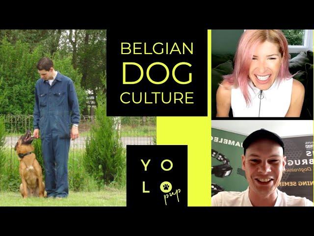 Belgian Ring Sports, Culture, & ECollars with Hans Verbruggen | YOLO PUP