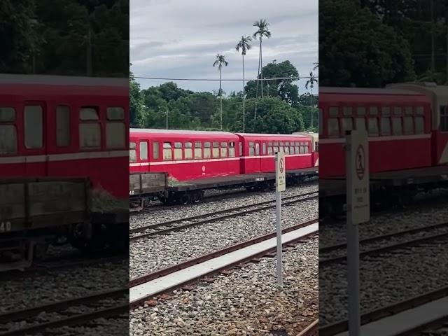 #台灣 #taiwan #тайвань #阿里山 #alishan #日本  A railway station on the way from Chiayi to Alishan