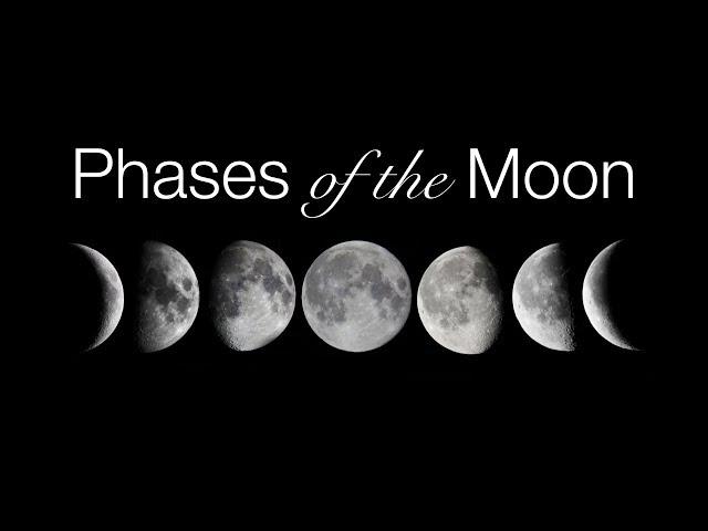 Phases and Motions of the Moon