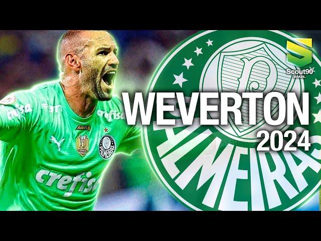 Weverton 2024 - Defesas & Reflexos Incríveis - Palmeiras | HD