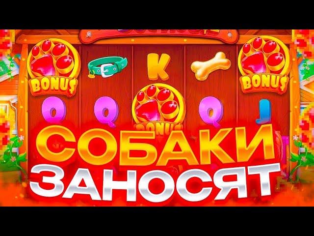 ЗАЛЕТЕЛ С ДРУГОМ В СОБАК ПОДЗАНЕСТИ / Смогли ПОЙМАТЬ ЗАНОСЫ НЕДЕЛИ в The Dogs House Megaways!