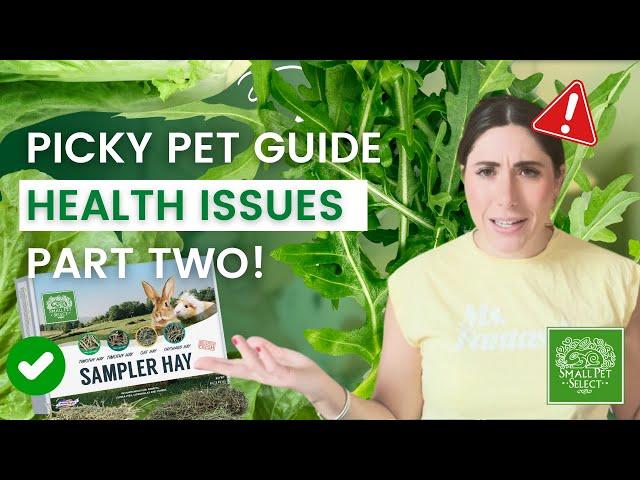 Attention Rabbit Owners! Picky Pet Health Emergencies (Picky Pet Guide PART 2)