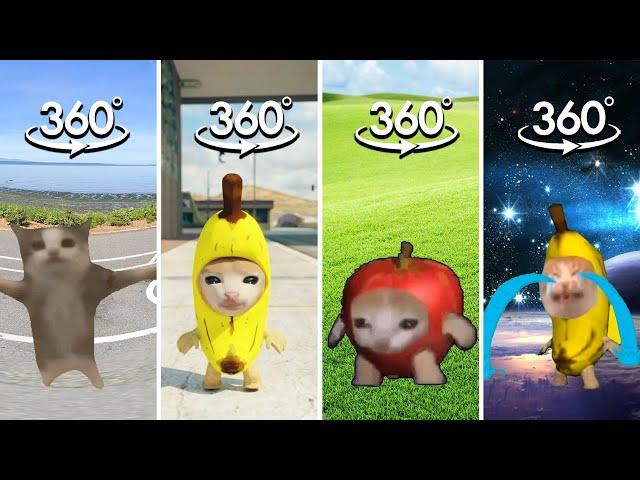 FIND CAT MEME COMPILATION | Banana Cat, Happy Cat, Apple Cat Finding Challenge 360º VR Video