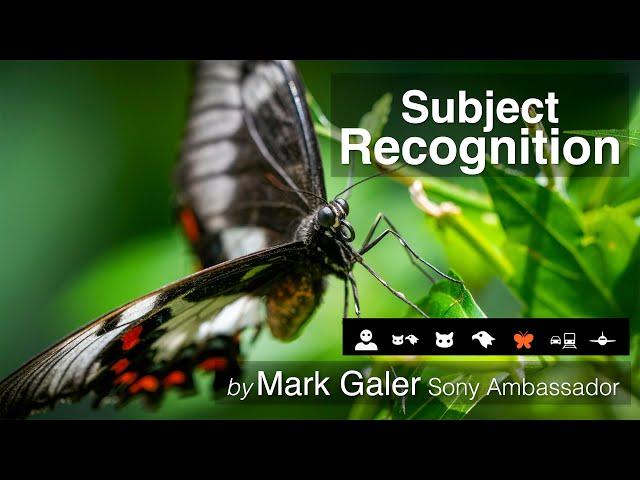 AI Subject Recognition