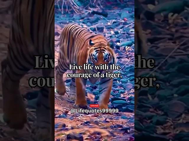 Fearless Tiger #shorts #psychology #subscribe #youtubeshorts #trendingnow #motivation #tigerattitude