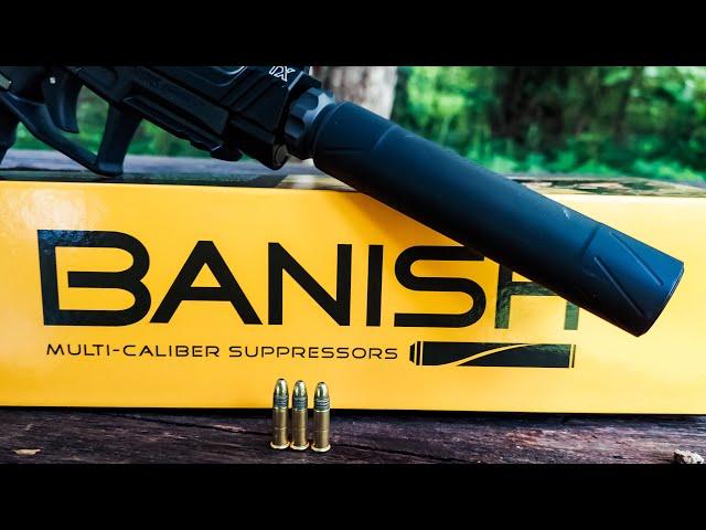 Banish 22 Suppressor  from Silencer Central #shorts