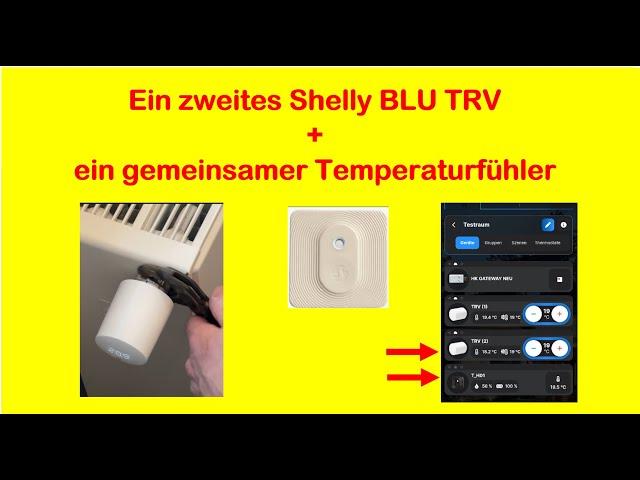 Shelly BLU TRV + Shelly BLU H&T: Zwei Heizkörper über einen externen Temperatursensor führen