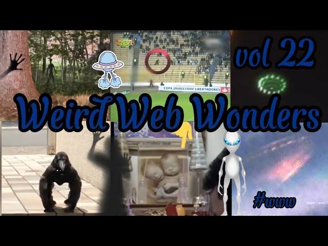 Weird Web Wonders  VOL 22